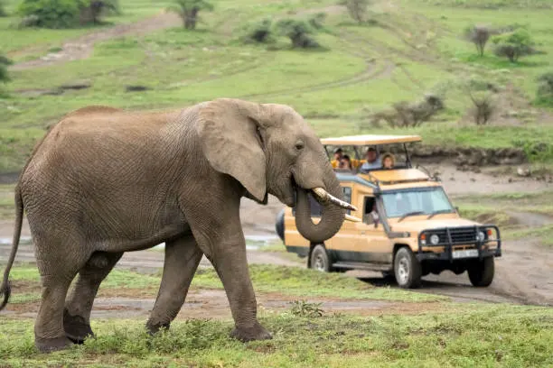 Ngorongoro Landscape